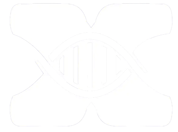 Academia de inversiones